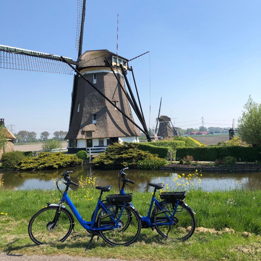 B&B Bleiswijk Exteriör bild